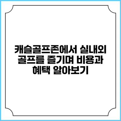 캐슬골프존에서 실내외 골프를 즐기며 비용과 혜택 알아보기