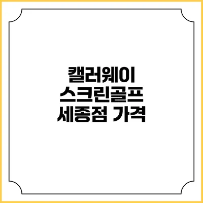 캘러웨이 스크린골프 세종점: 가격
