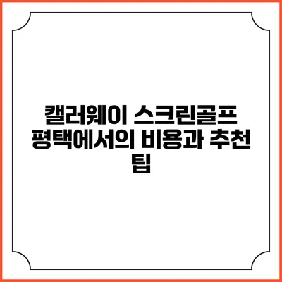 캘러웨이 스크린골프: 평택에서의 비용과 추천 팁