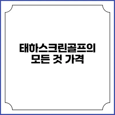 태하스크린골프의 모든 것: 가격