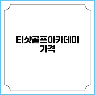 티샷골프아카데미: 가격