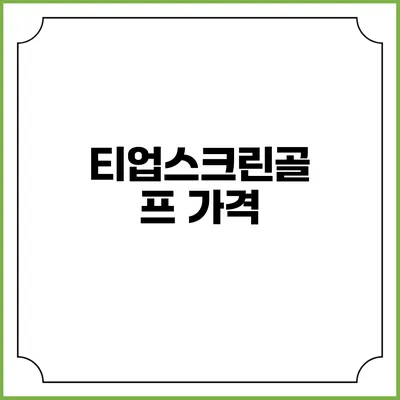티업스크린골프: 가격