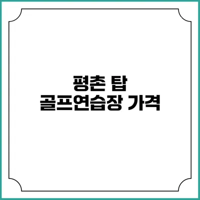 평촌 탑 골프연습장: 가격