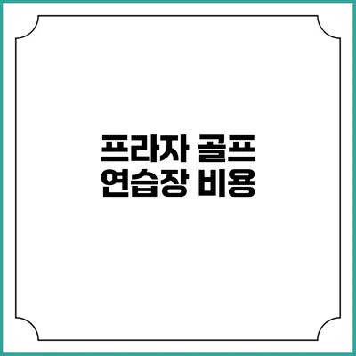 프라자 골프 연습장: 비용