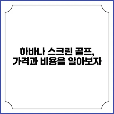 하바나 스크린 골프, 가격과 비용을 알아보자