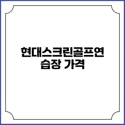 현대스크린골프연습장: 가격