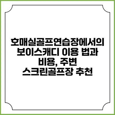 호매실골프연습장에서의 보이스캐디 이용 법과 비용, 주변 스크린골프장 추천