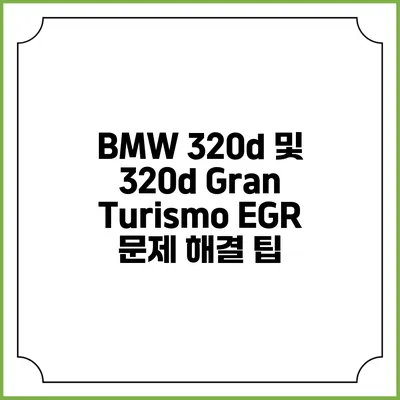 BMW 320d 및 320d Gran Turismo EGR 문제 해결 팁