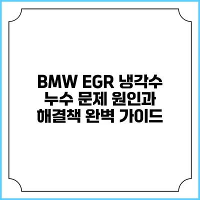 BMW EGR 냉각수 누수 문제: 원인과 해결책 완벽 가이드