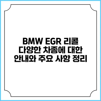 BMW EGR 리콜: 다양한 차종에 대한 안내와 주요 사항 정리