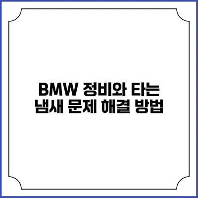 BMW 정비와 타는 냄새 문제 해결 방법
