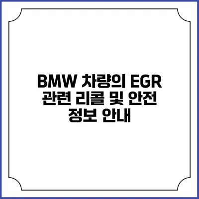 BMW 차량의 EGR 관련 리콜 및 안전 정보 안내