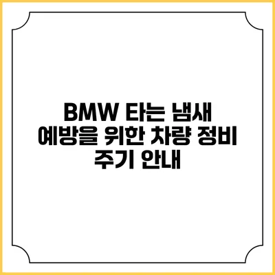 BMW 타는 냄새 예방을 위한 차량 정비 주기 안내