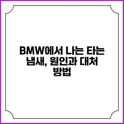 BMW에서 나는 타는 냄새, 원인과 대처 방법