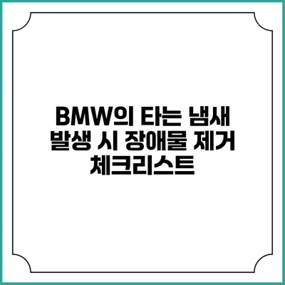 BMW의 타는 냄새 발생 시 장애물 제거 체크리스트