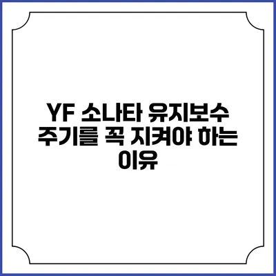 YF 소나타 유지보수 주기를 꼭 지켜야 하는 이유