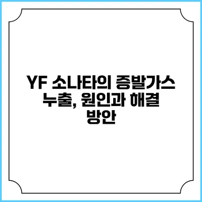 YF 소나타의 증발가스 누출, 원인과 해결 방안