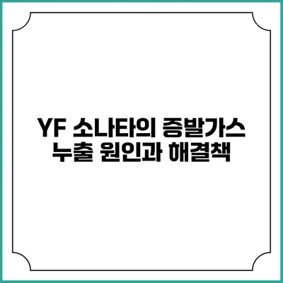 YF 소나타의 증발가스 누출 원인과 해결책