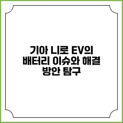 기아 니로 EV의 배터리 이슈와 해결 방안 탐구