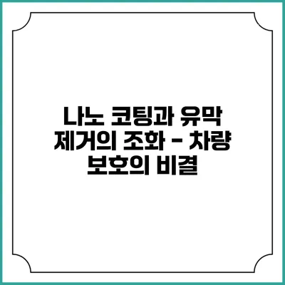 나노 코팅과 유막 제거의 조화 - 차량 보호의 비결