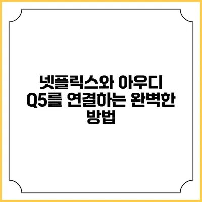 넷플릭스와 아우디 Q5를 연결하는 완벽한 방법