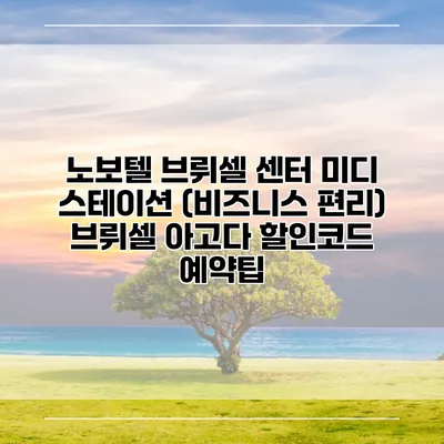 노보텔 브뤼셀 센터 미디 스테이션 (비즈니스 편리) 브뤼셀 아고다 할인코드 예약팁