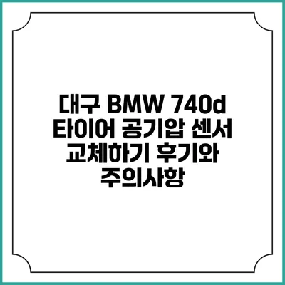 대구 BMW 740d 타이어 공기압 센서 교체하기: 후기와 주의사항