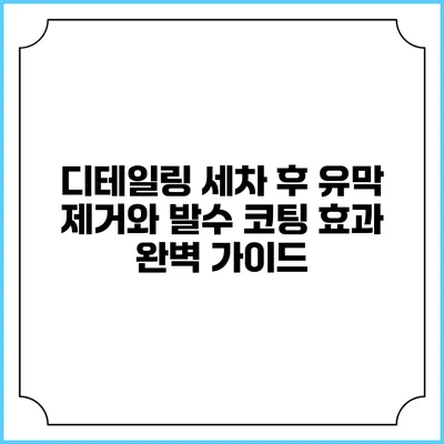 디테일링 세차 후 유막 제거와 발수 코팅 효과 완벽 가이드