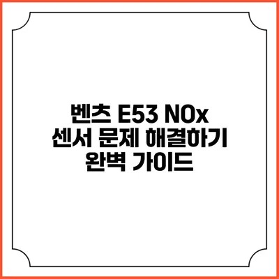 벤츠 E53 NOx 센서 문제 해결하기: 완벽 가이드