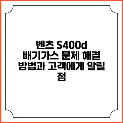 벤츠 S400d 배기가스 문제: 해결 방법과 고객에게 알릴 점