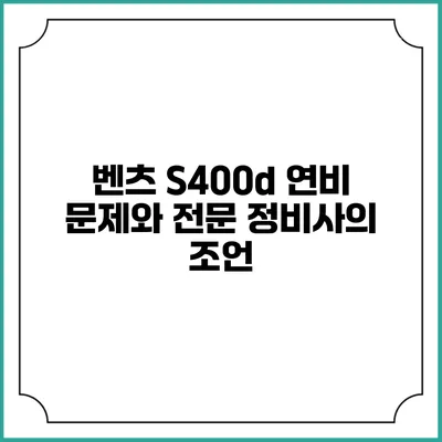 벤츠 S400d 연비 문제와 전문 정비사의 조언