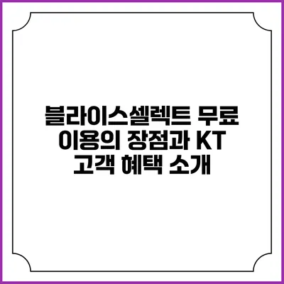 블라이스셀렉트 무료 이용의 장점과 KT 고객 혜택 소개
