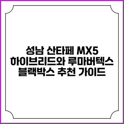 성남 산타페 MX5 하이브리드와 루마버텍스 블랙박스 추천 가이드