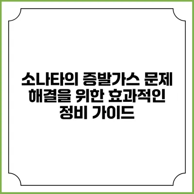 소나타의 증발가스 문제 해결을 위한 효과적인 정비 가이드