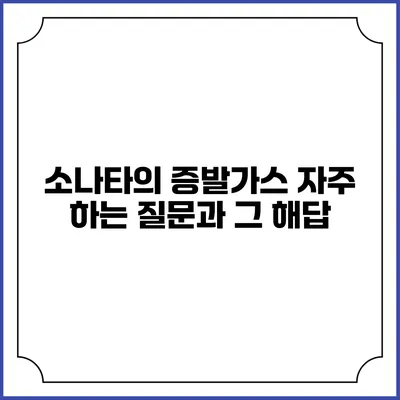 소나타의 증발가스: 자주 하는 질문과 그 해답