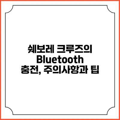 쉐보레 크루즈의 Bluetooth 충전, 주의사항과 팁