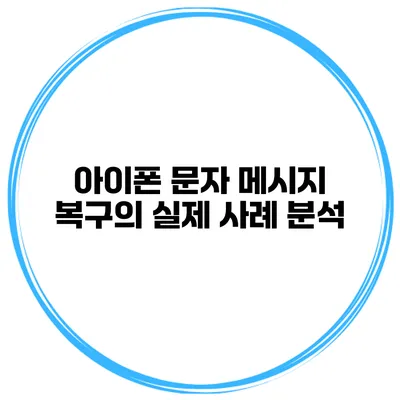 아이폰 문자 메시지 복구의 실제 사례 분석