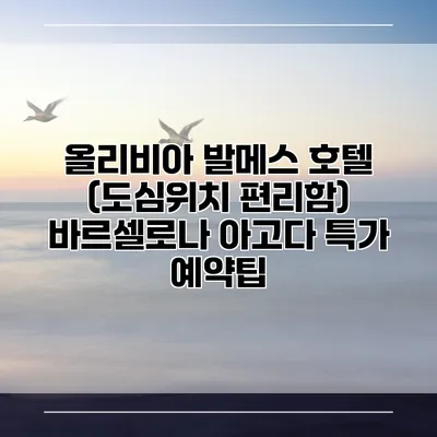 올리비아 발메스 호텔 (도심위치 편리함) 바르셀로나 아고다 특가 예약팁