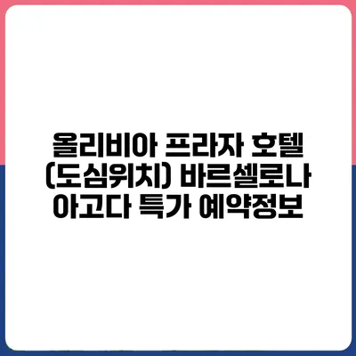 올리비아 프라자 호텔 (도심위치) 바르셀로나 아고다 특가 예약정보