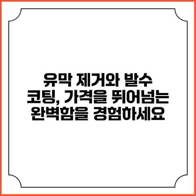 유막 제거와 발수 코팅, 가격을 뛰어넘는 완벽함을 경험하세요