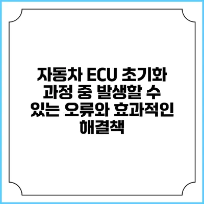 자동차 ECU 초기화 과정 중 발생할 수 있는 오류와 효과적인 해결책