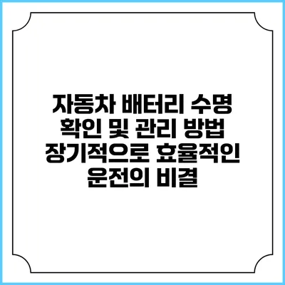 자동차 배터리 수명 확인 및 관리 방법: 장기적으로 효율적인 운전의 비결