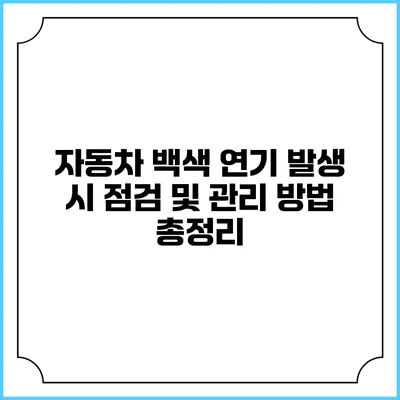 자동차 백색 연기 발생 시 점검 및 관리 방법 총정리