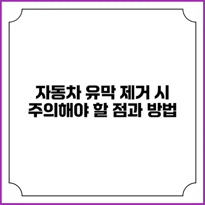 자동차 유막 제거 시 주의해야 할 점과 방법