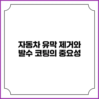 자동차 유막 제거와 발수 코팅의 중요성