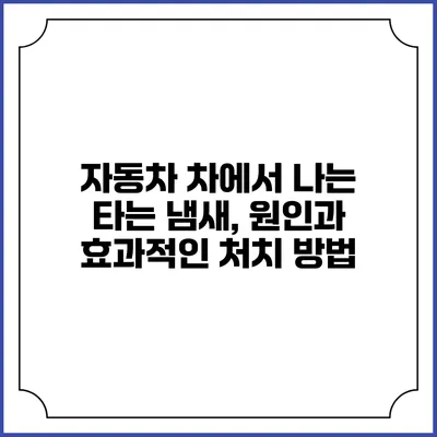 자동차 차에서 나는 타는 냄새, 원인과 효과적인 처치 방법
