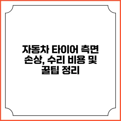 자동차 타이어 측면 손상, 수리 비용 및 꿀팁 정리
