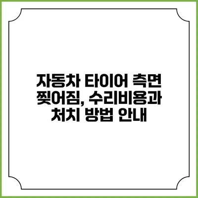 자동차 타이어 측면 찢어짐, 수리비용과 처치 방법 안내