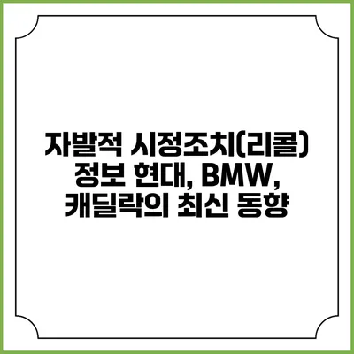 자발적 시정조치(리콜) 정보: 현대, BMW, 캐딜락의 최신 동향