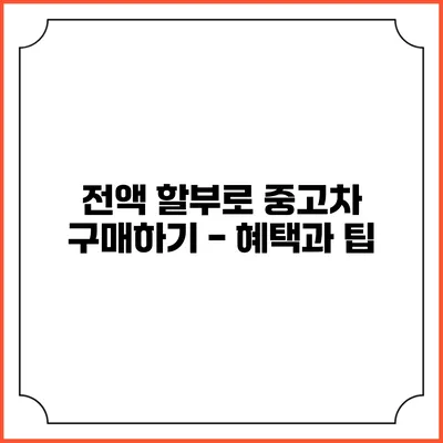 전액 할부로 중고차 구매하기 - 혜택과 팁